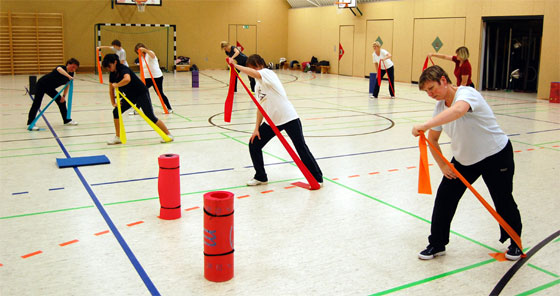 Treptower Sportverein 1949 e.V. - Aerobic - Bild 2